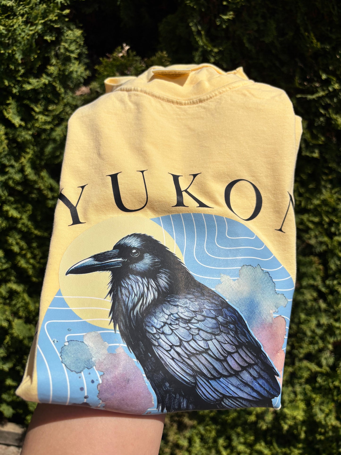 Yukon - Provincial Bird