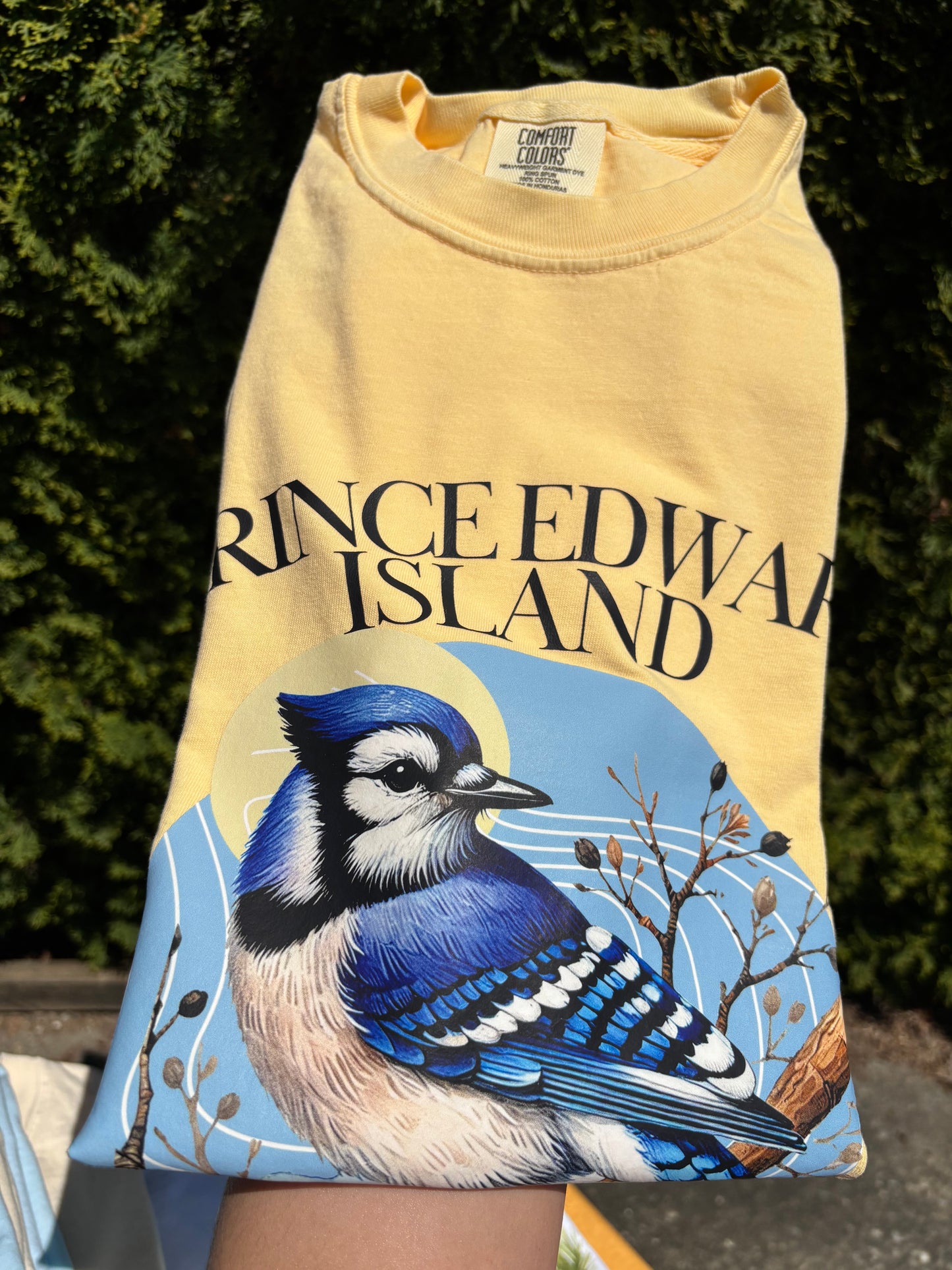 Prince Edward Island - Provincial Bird