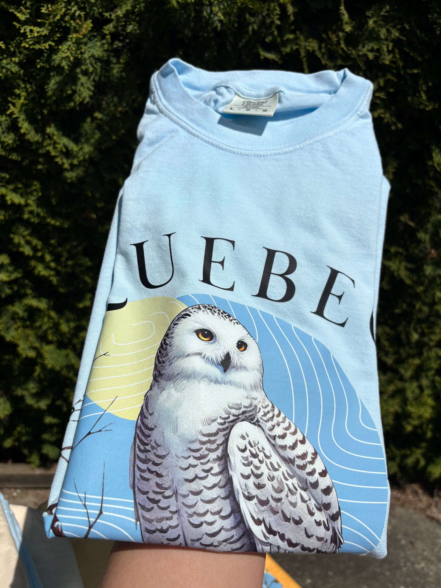 Quebec - Provincial Bird