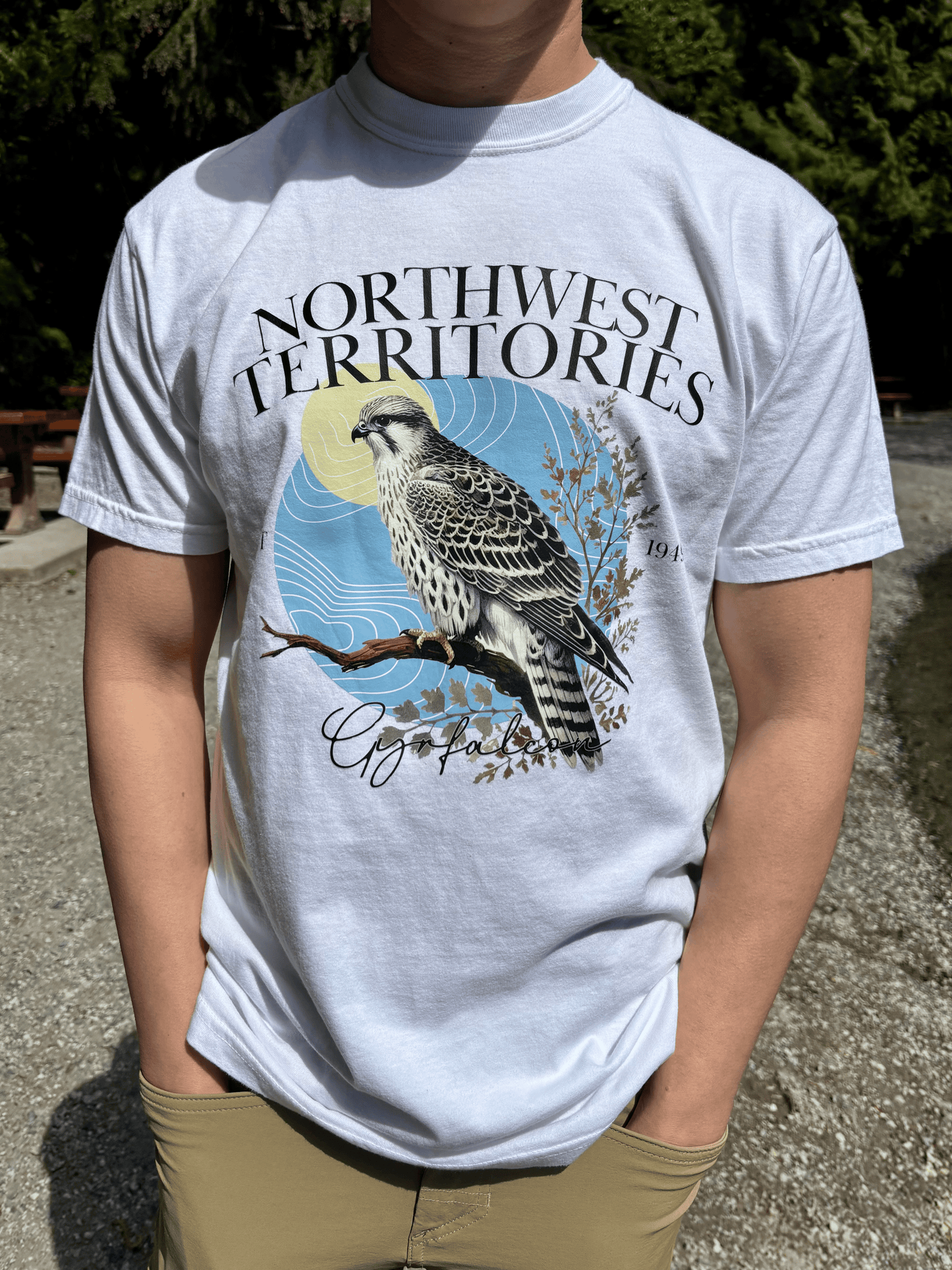 Northwest Territories - Provincial Bird