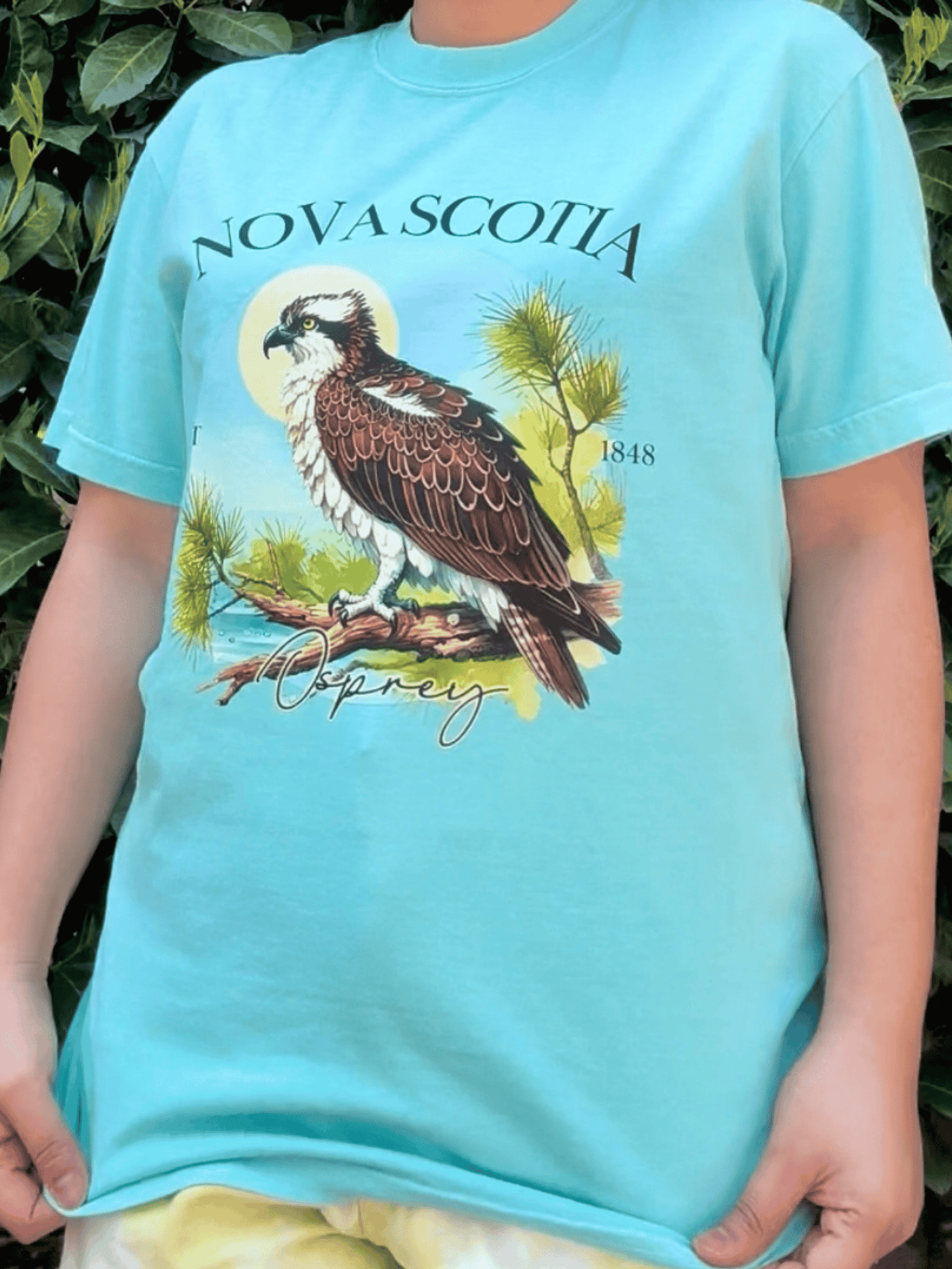 Nova Scotia - Provincial Bird