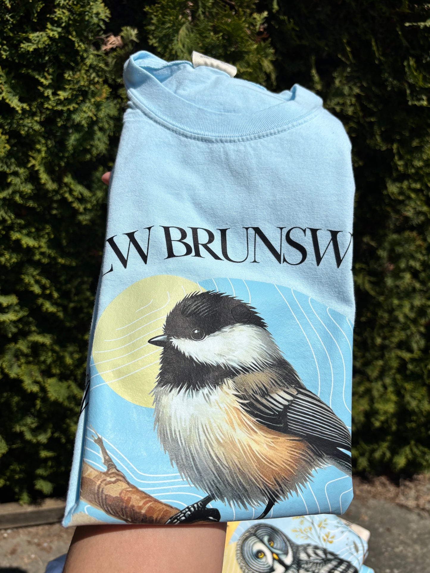 New Brunswick - Provincial Bird