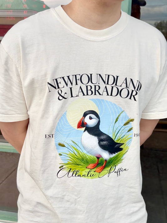 Newfoundland & Labrador - Provincial Bird